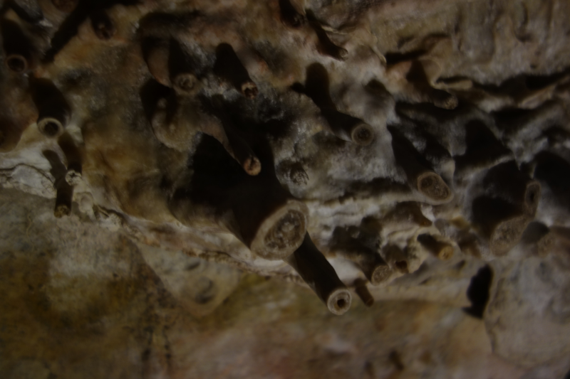 Illustration for article titled Lehman Caves
